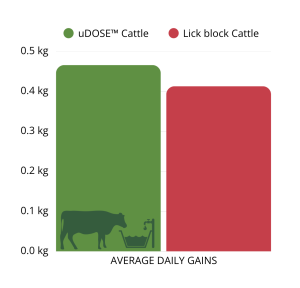 Cattle on uDOSE™ achieved higher average daily gains of 0.466 kg/day