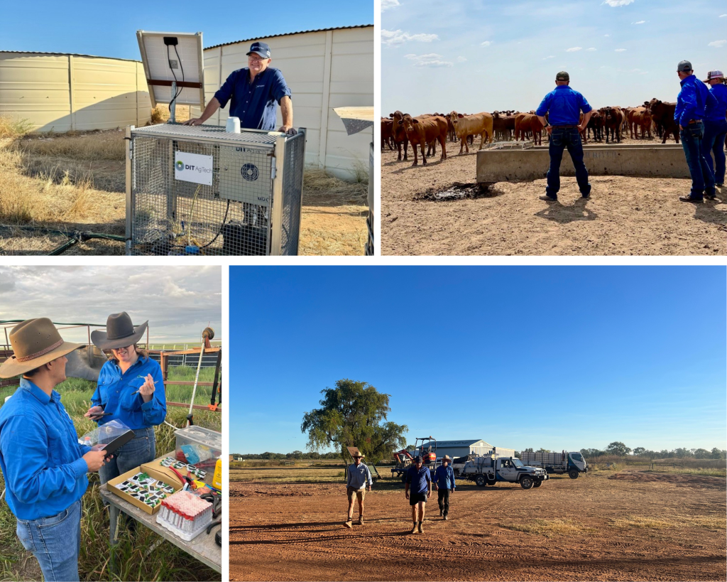 Picture of DIT AgTech team, boots on the ground